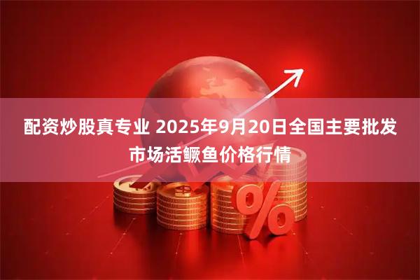 配资炒股真专业 2025年9月20日全国主要批发市场活鳜鱼价格行情