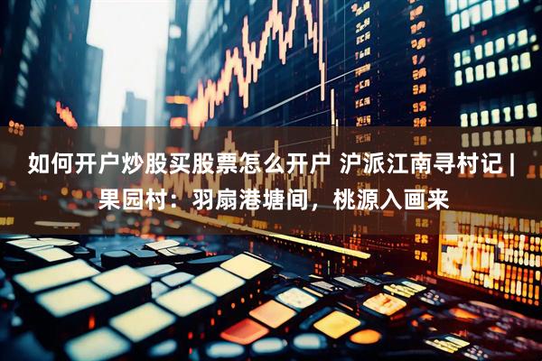 如何开户炒股买股票怎么开户 沪派江南寻村记 | 果园村：羽扇港塘间，桃源入画来